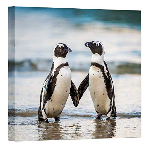 Vvovv Wall Decor Modern Wild Animal Painting Canvas Prints African Penguin On The Sandy Beach Picture Wall Art For Home Decor Artwork 24”X24” #TOP16