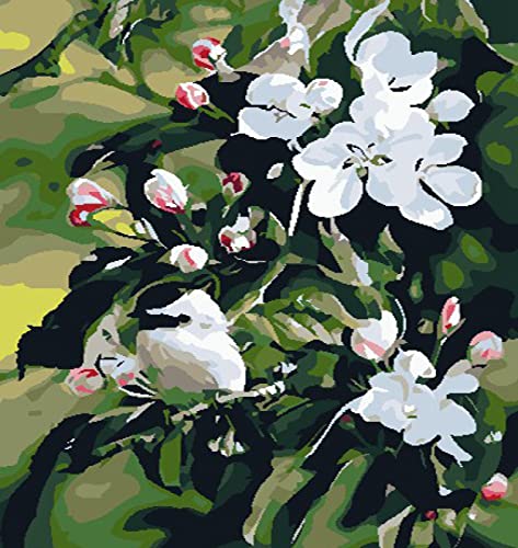 Peinture au diamant 5D oiseaux et fleurs kit broderie strass pour adultes 30x40cm