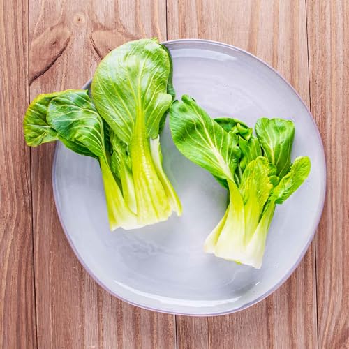 Bonnie Plants Bok Choy, Live Plant, Easy-to-Grow Greens Ideal for Sunny Containers, Raised Beds, and In-Ground Gardens, Mild Asian Greens for Salads, Stir-Fries, and Soups, 19.3 oz., 4-Pack