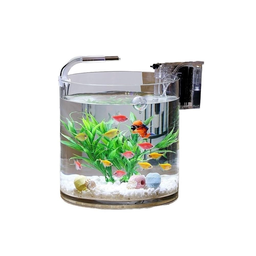 Aquarium Transparentes Glas-Aquarium for Wohnzimmer, Büro oder Schreibtisch, zylindrisch(20cm)