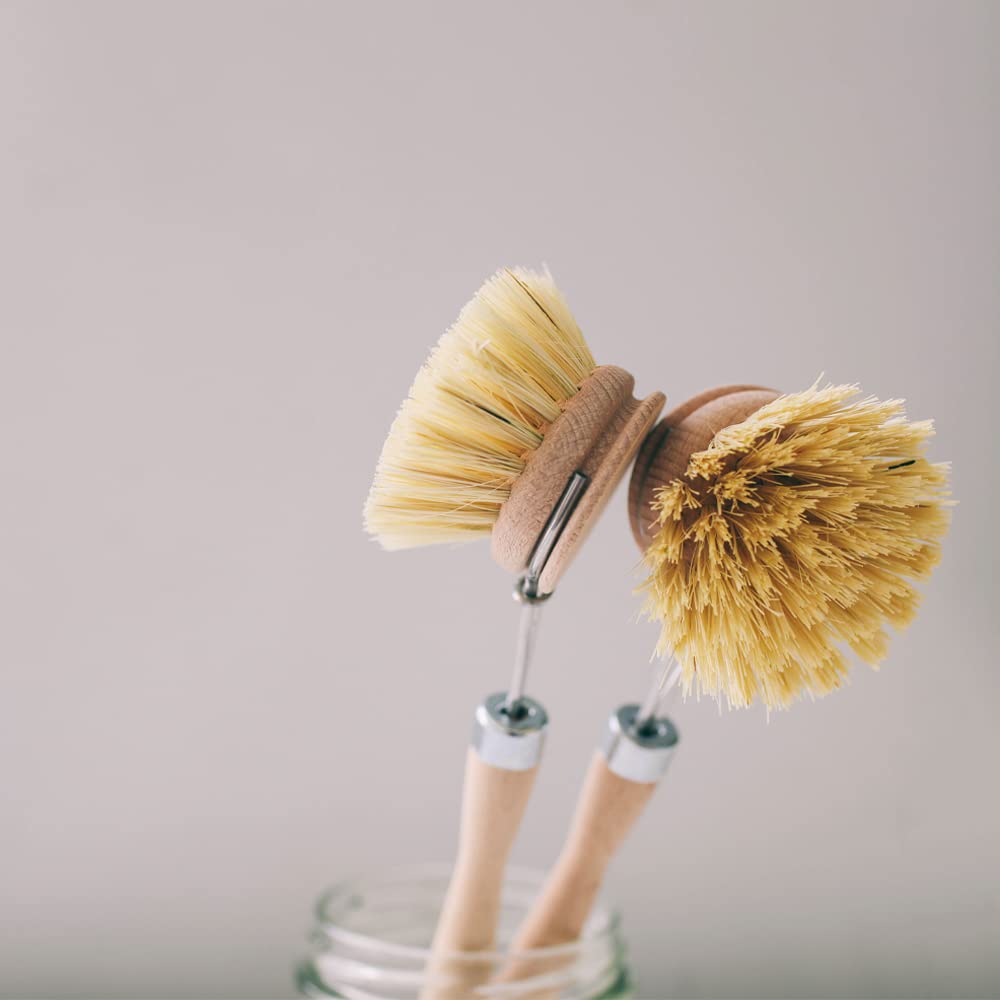 BIOHY Lot de 6 brosses à vaisselle en bois de hêtre et fibre | Brosse en bois de qualité supérieure pour rincer et nettoyer la vaisselle | Brosse de cuisine avec têtes interchangeables | Fabriqué en