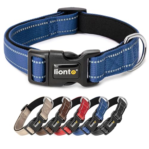 lionto Collare per cani imbottito in nylon riflettente impermeabile regolabile, taglia L, blu