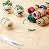 24 Rolls Colored Twine String for Crafts, 2mm Macrame Cord for Gift Wrapping - 12 Colors Twine for Crafts and Macrame Supplies (11 Yards Each, 264 Yards Total) #1