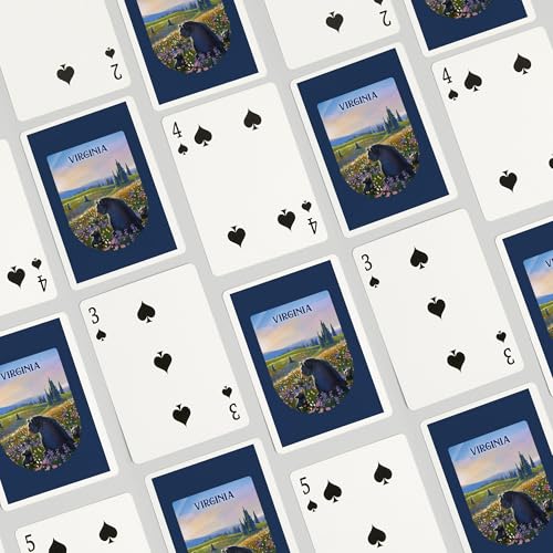Lantern Press Baraja de Poker, 52 Cartas Tamaño Poker miniatura 4