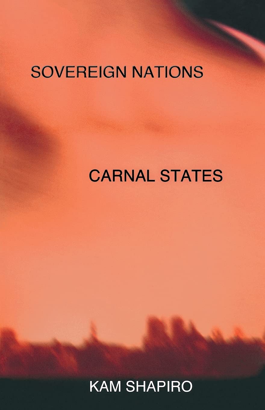 Buy Sovereign Nations, Carnal States — BookShops.in