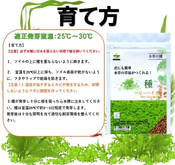 Amazon.co.jp: 水草の種ベビーハイグロ5g60cm水槽約1本分君にも簡単