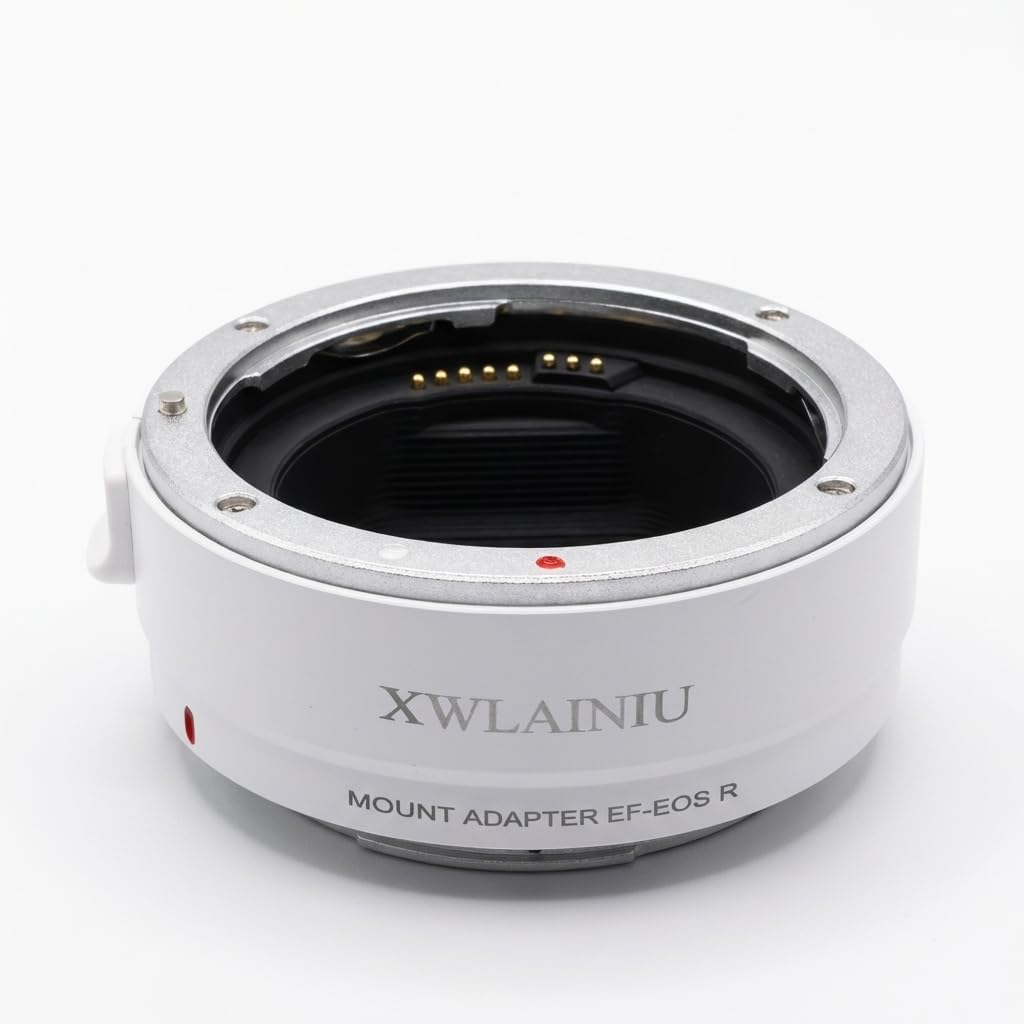 Adaptador EF-EOS R para cámaras Canon EOS R miniatura 1