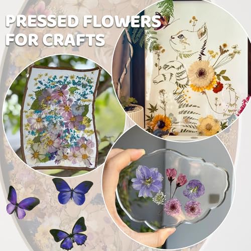 Image of 142Pcs Dried Flowers, Dried Pressed Flowers for Crafts, Natural Dried Pressed Flowers for Resin with DlY Butterfly Stickers&Tweezers for Photo Frames, Scrapbooks, Candles, Jewelry Making, Resin Molds