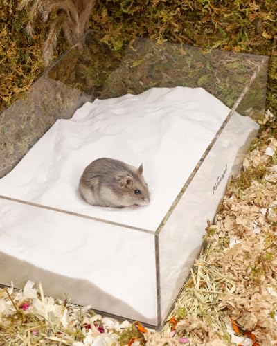 Image of Niteangel Hamster Desert Bath Sand | No-Dust Bath or Potty Litter for Hamster Chinchillas Gerbil Mice Degu or Other Small Pets (White Sand, 6LB /96oz)