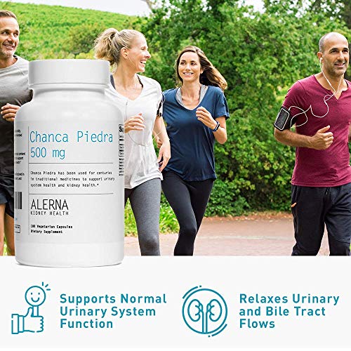 Chanca Piedra 500 mg - Kidney Stone Crusher, Dissolver, Gallbladder Support Supplement - 100 Vegetarian Capsules (Pack of 3)