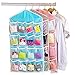 Baanuse Sac Etagère de Rangement à 16 Poches Suspendu Transparent pour Chaussures Chaussettes Jouets (Bleu)