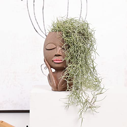 Aimebby Face Flower Pot Head Planter Pot Succulent Planter Cute Resin Cactus Planter With Drainage Hole Closed Eyes,Black #TOP1
