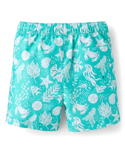 Image of Gymboree Boys and Toddler Swim Trunks