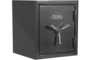 Sanctuary Quick Access Biometric Safe