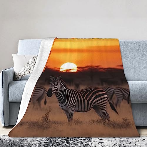Couverture en micro-polaire zèbre pour lit et canapé - 2