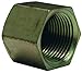 Dixon Zinc Plated Steel Female NPTF Hex Cap