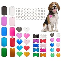 4 Types of Shapes in 10 Colors