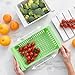 InnovaGoods Organizador Ajustable para Nevera Friwer Imagen de InnovaGoods Organizador Ajustable para Nevera Friwer