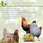 PICKY-NEB-100-Non-GMO-Dried-Mealworms-Whole-Large-Meal-Worms-Bulk-High-Protein-Treats-Perfect-for-Your-Chickens-Ducks-Wild-Birds