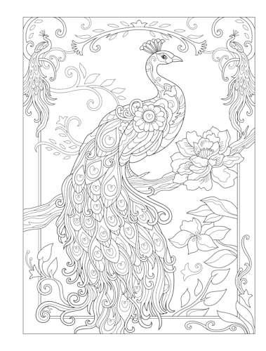 Creative Haven Birds and Blossoms Coloring Book