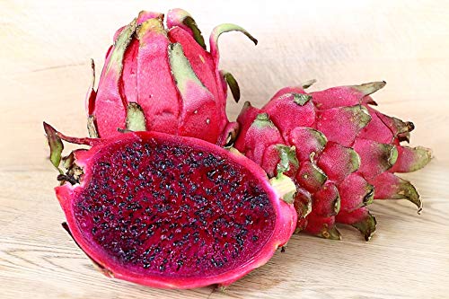 70 Dragon Fruit Seeds For Planting Red Pitaya Bulk #TOP3