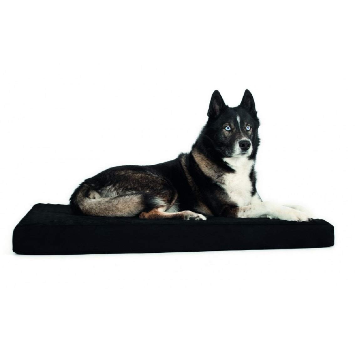 Matelas en Welltex Dog Copenhagen grand tapis de couchage noir 80 x 100 cm