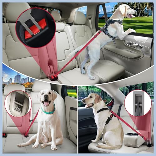 EXTFANS 3-in-1 Hunde Sicherheitsgurt für Auto – Einstellbarer Hundegurt Sicherheitsgeschirr mit Nachtsichtfunktion, 2156N Zugfestigkeit & Energieabsorption, Universalstecker & Verriegelungsbefestigung