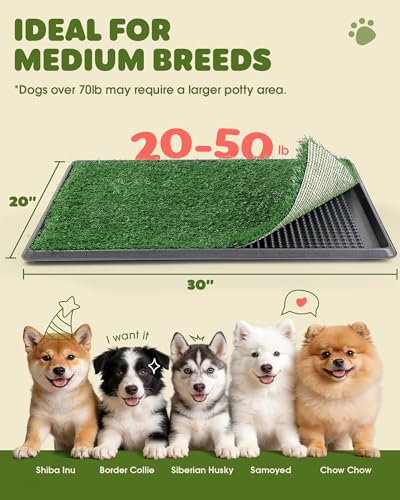 Image of Powools Grass Pad for Dogs Potty - 3-Layer Reusable Dog Grass Pad with Tray, Washable Artificial Grasses Dog Potty Tray with Drainage Holes, Indoor & Outdoor Grass Pee Pad for Dogs, 30 inch x 20 inch