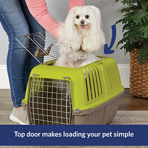 Image of Spree by Midwest 24-Inch Travel Carrier, Green, Fits Pets up to 25 lbs