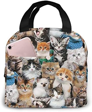 Cute Cats Lunch Bag for Women Insulated Thermal Lunch Tote for Work College Picnic Beach Park