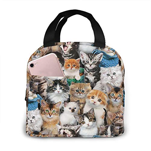 Cute Cats Lunch Bag For Women Insulated Thermal Lunch Tote For Work College Picnic Beach Park #TOP3
