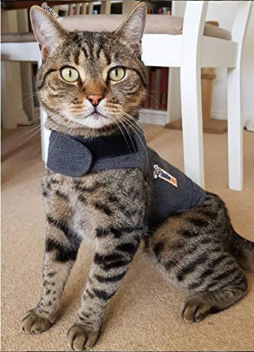 Thundershirt Jaqueta clássica de gato ansiedade, cinza mesclado, médio (9 a 5,8 kg), THU-009