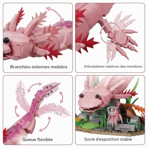 Axolotl Ensemble de construction pour adultes et adolescents de 14 ans et plus, blocs de construction avec base de présentation, figurine d'axolotl articulée, décoration de bureau à collectionner – vue 4
