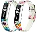 TreasureMax for Fitbit Alta HR and Alta Bands, Replacement Band with Watch Buckle for Fitbit Alta/Fitbit Alta HR Accessory/Fitbit Alta HR Band (No Tracker)