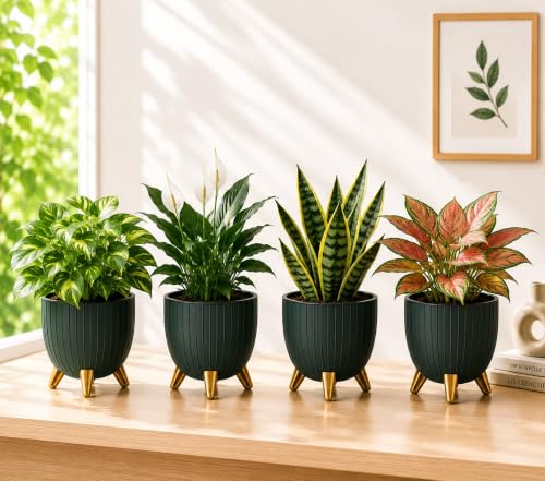Image of Xmart India 7 Inch Decorative Plant Pot for Indoor & Outdoor Plants | Planter Pot with Stand & Legs |Ribbed Flower Pot for Home, Balcony, Garden, Living Room & Office | Plant Container (4, Green)