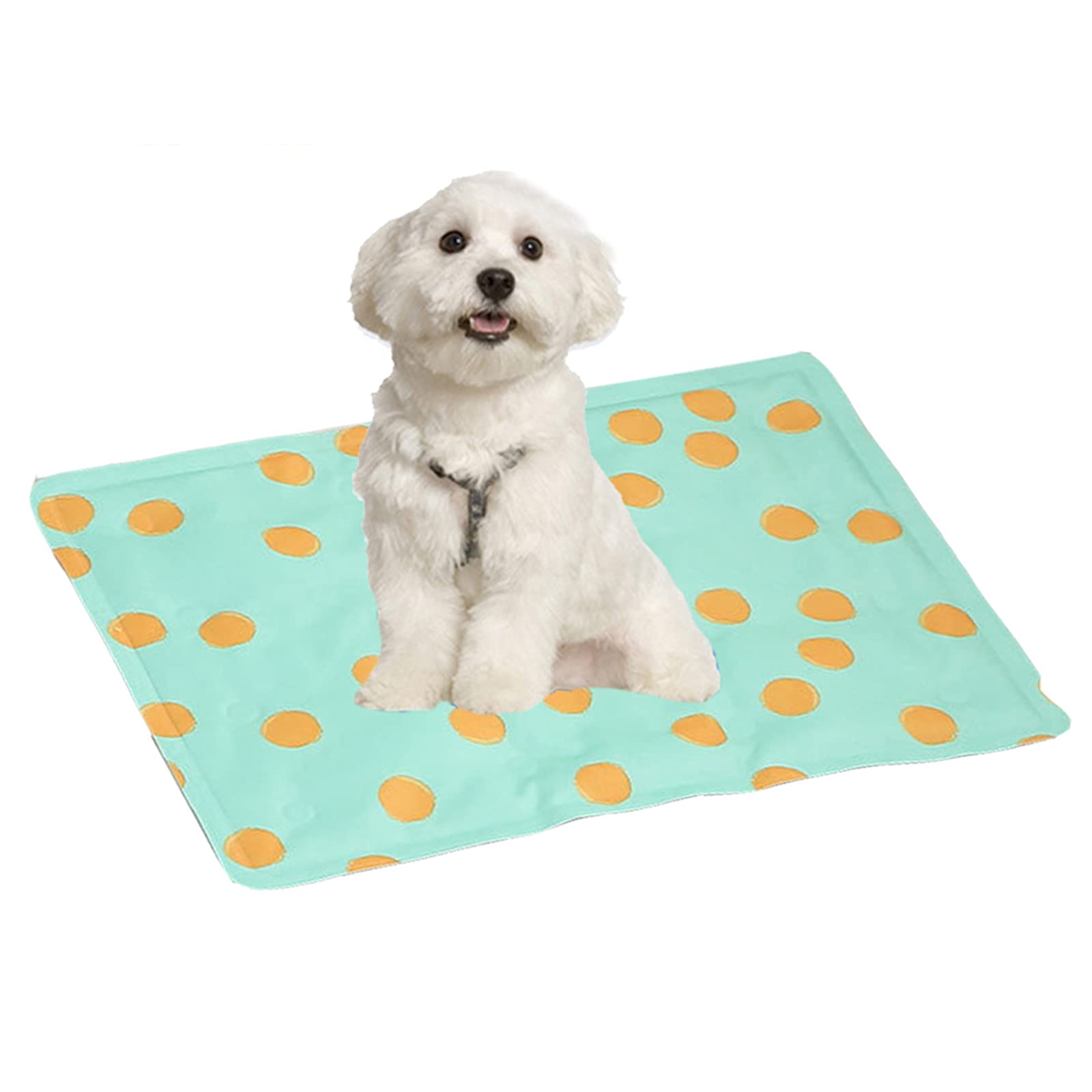Cucce per Cani da Interno, for Letti Estivi, cucce, Gabbie, Cuscini for materassi AntiGraffio atossici(D,XL)