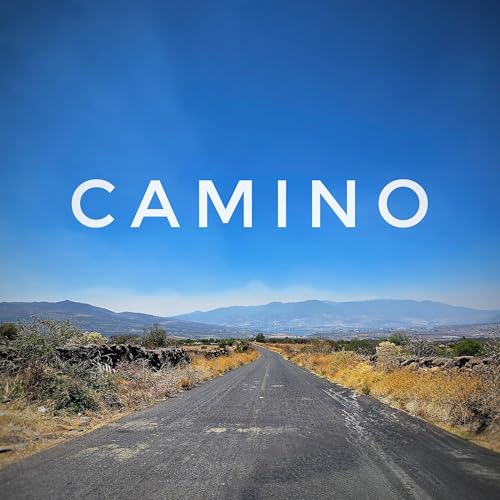 Cap&iacute;tulo 4. ||Camino|| |FEels DM|