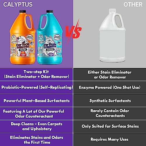 Calyptus CALYPTUS-PET-ODOR+STAIN-2X-64OZ Pet Stain And Odor Remover | Orange And Enzyme Cleaner Duo Solution thumb #4