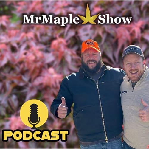 MrMaple Show Podcast Por MrMaple.com arte de portada
