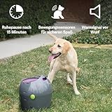 Ballwurfmaschine, mit Tennisbällen - 5