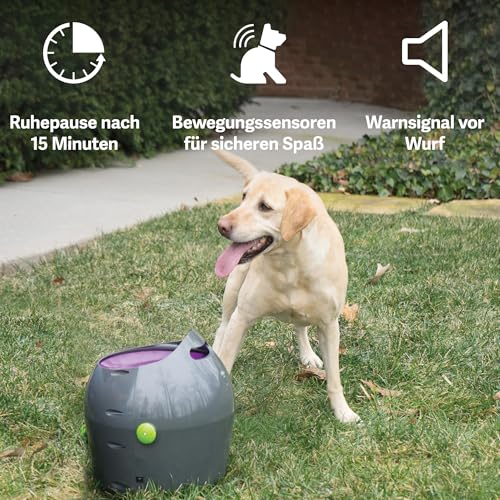 PetSafe Automatischer Ballwerfer für Hunde, Wurfweite zwischen 2,5-9 Meter, Regenresistent mit Bewegungssensoren, Grau/Lila.