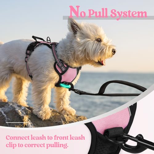 Image of rabbitgoo Dog Harness No Pull with 2 Leash Clips, Adjustable Soft Padded, Reflective Oxford No Choke Pet Vest with Easy Control Handle for Puppy, Pink, XS