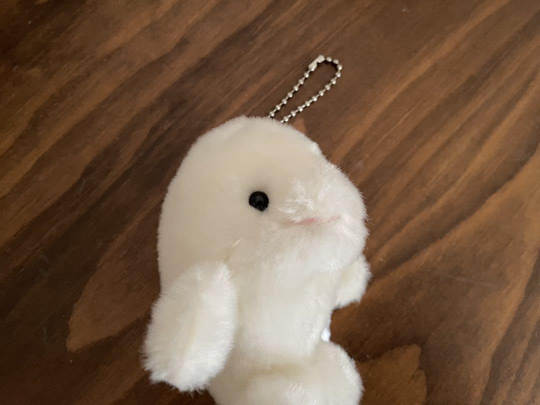 Amazon.co.jp: ?? 八景島シーパラダイス シロイルカ ぬいぐるみ