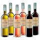 Jechtinger Bio Wein Probierpaket