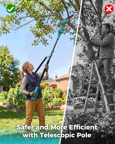 Image of Pole Saws for Tree Trimming, 6 inch Brushless Mini Chainsaw with Extension Pole
