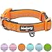 Blueberry Pet Adjustable Dog Collar, Soft & Safe, 3M Reflective, Neoprene Padded, Orange Dog Dollar, Dog Collars for Medium Dogs, Small Dog Collar, Eco-Friendly, Perfect for Pet Lovers & Owners