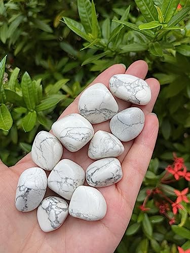 Image of GAF TREASURES 1 /2 LB White Howlite Tumbled Stones, Polished Natural White Howlite Gemstone, White Howlite Healing Crystals (White Howlite)