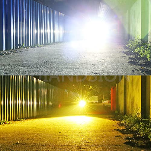 Ruiandsion BA20D LED Moto Faro Lampadina 12-80V