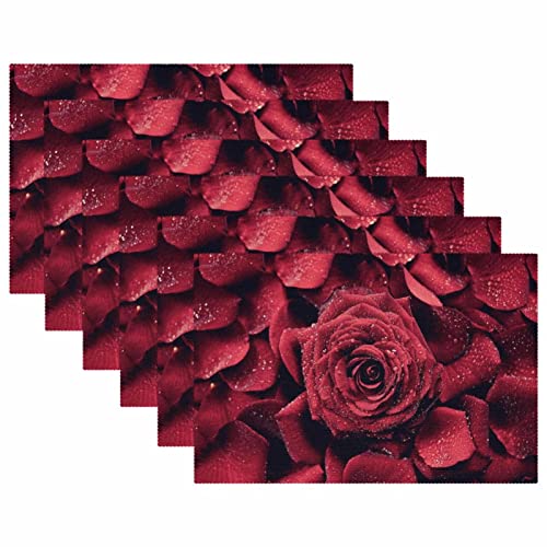 Lot de 6 sets de table roses rouges 30x45 cm lavables pour dîner - 6