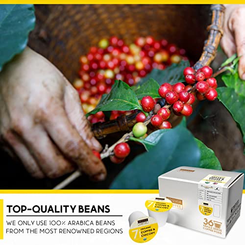 Organic Coffee & Chicory Pods For Keurig - Half Caff Coffee With Chicory For K Cup Brewer - Compatible With Single Serve Coffee Maker - Premium Chicory Coffee Blend - 36 Count Coffee Pods (Pack Of 1) By Bruvia #TOP5